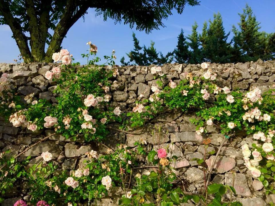 Villa Colletto *